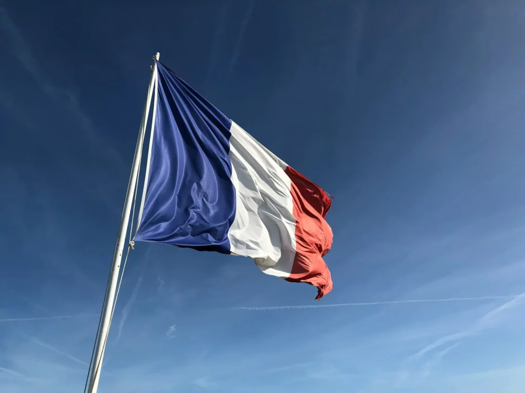 przedstawiciel francja